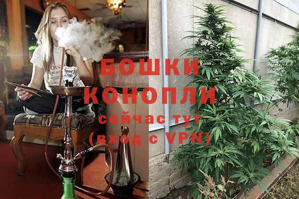 MDMA Белокуриха