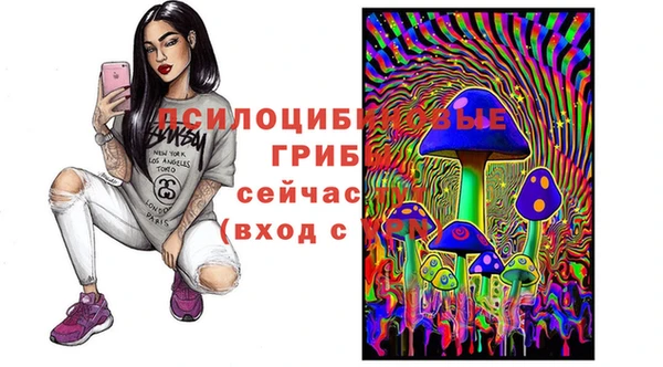 герыч Новокубанск