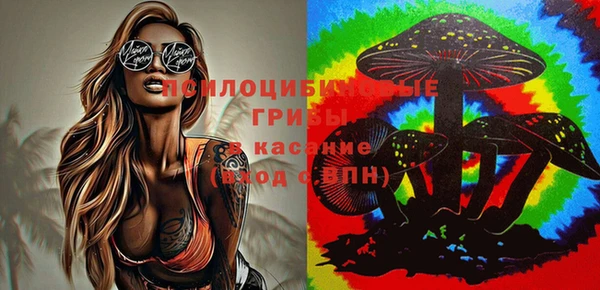 дживик Белоозёрский