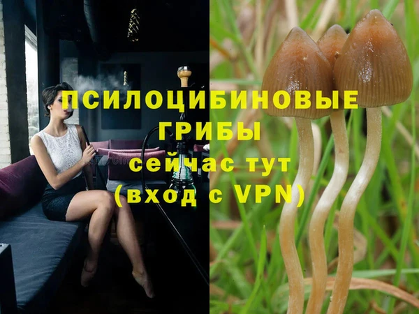 MDMA Белокуриха