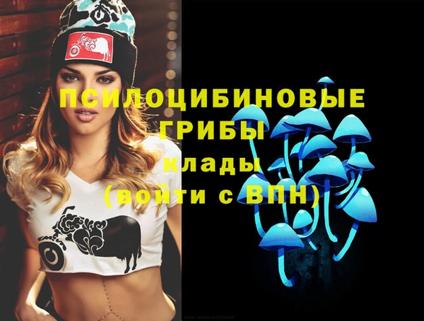 дживик Белоозёрский