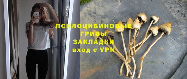 амф Беломорск