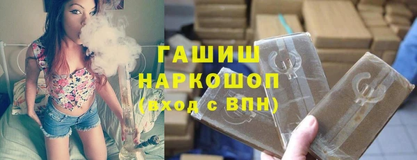 амф Новозыбков