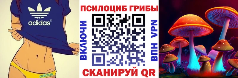 Псилоцибиновые грибы ЛСД  Называевск 
