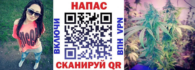 omg ONION  закладка  Называевск  Шишки марихуана THC 21% 